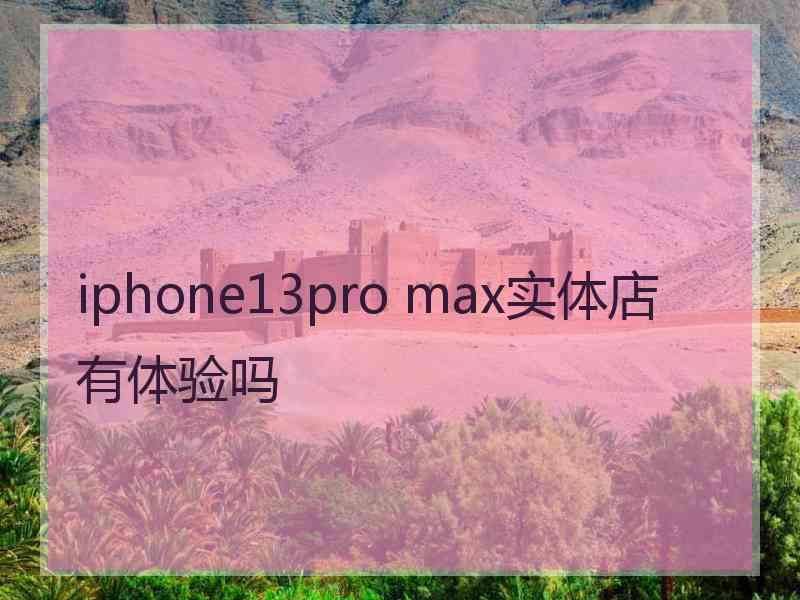 iphone13pro max实体店有体验吗