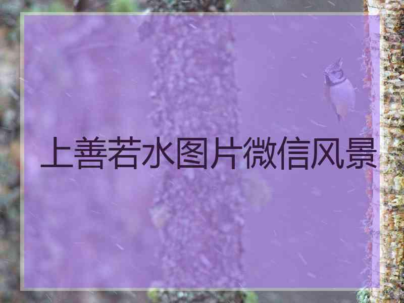 上善若水图片微信风景
