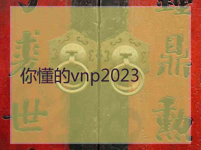 你懂的vnp2023