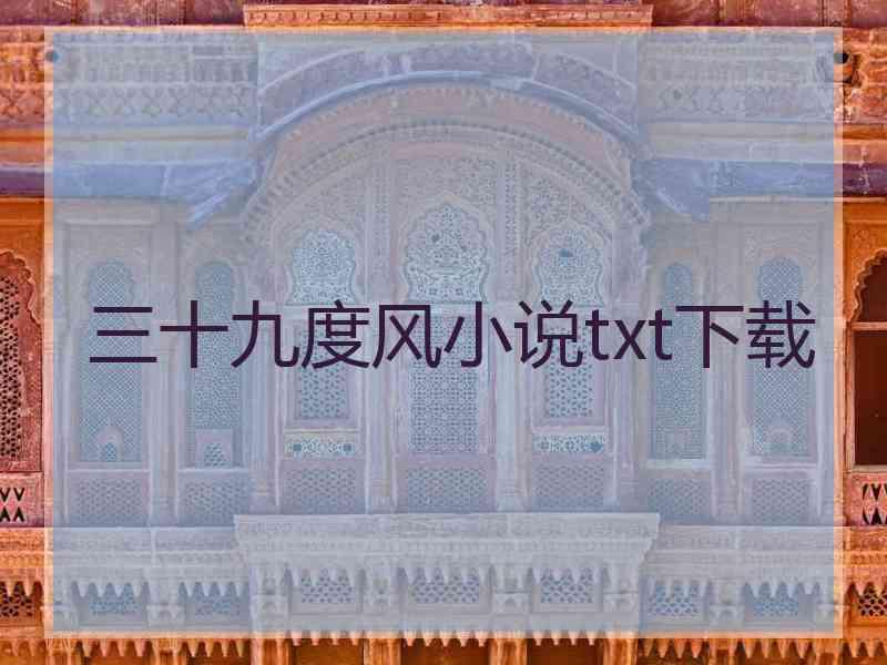 三十九度风小说txt下载
