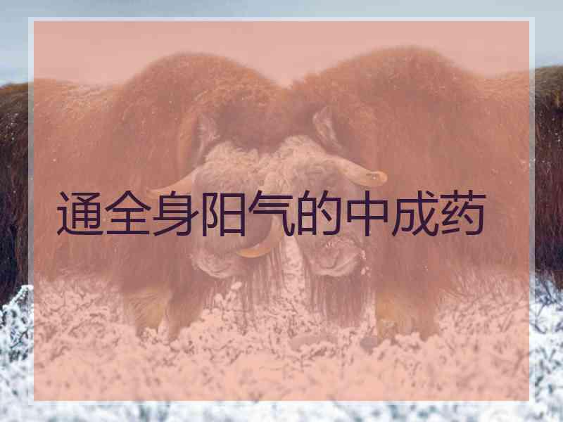 通全身阳气的中成药