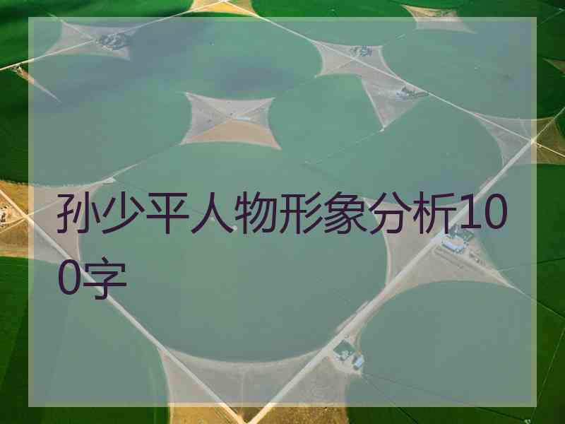 孙少平人物形象分析100字