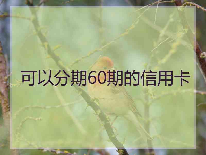 可以分期60期的信用卡