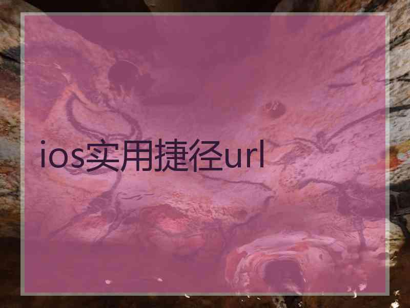 ios实用捷径url