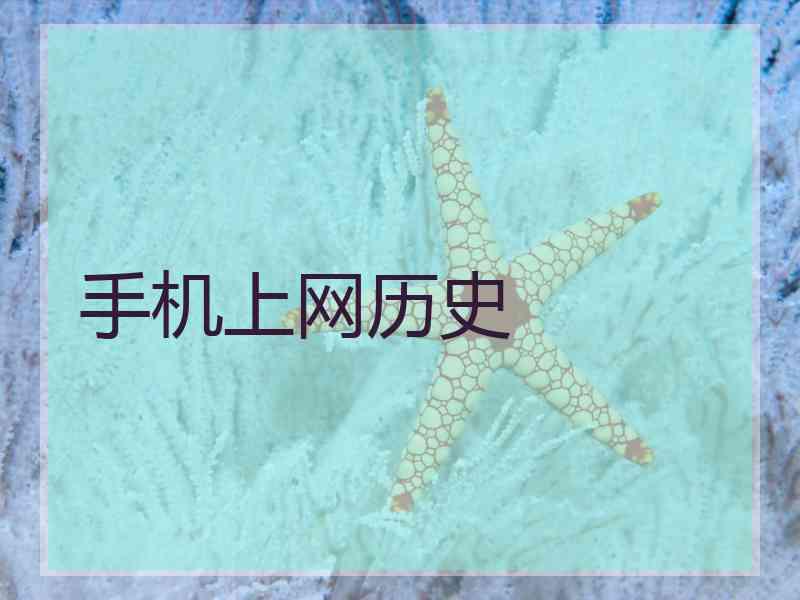 手机上网历史