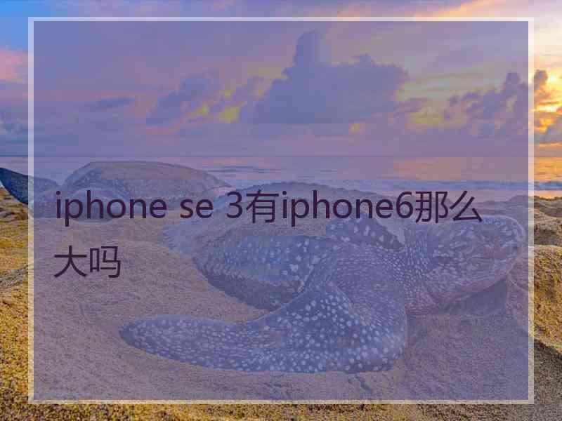 iphone se 3有iphone6那么大吗