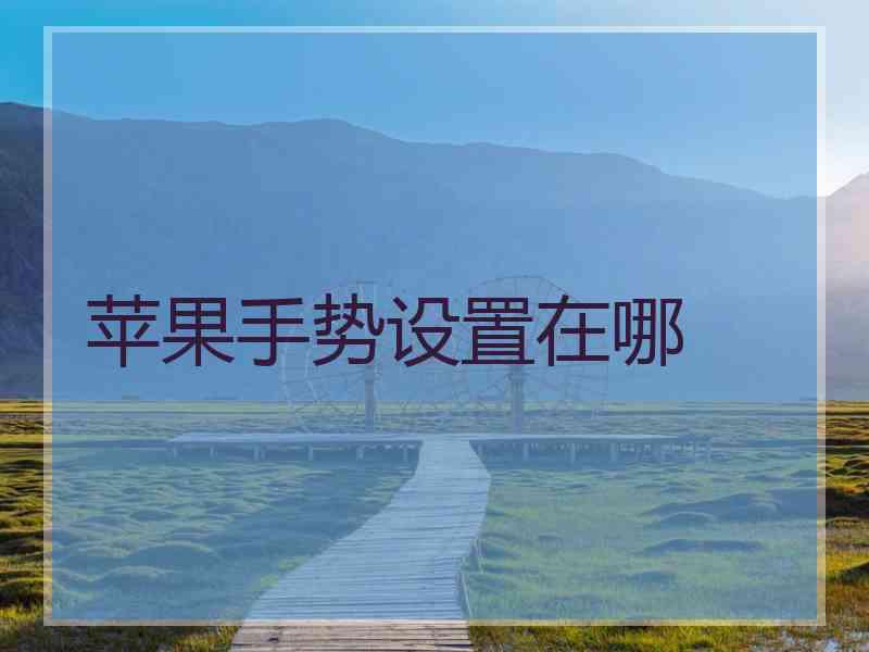 苹果手势设置在哪