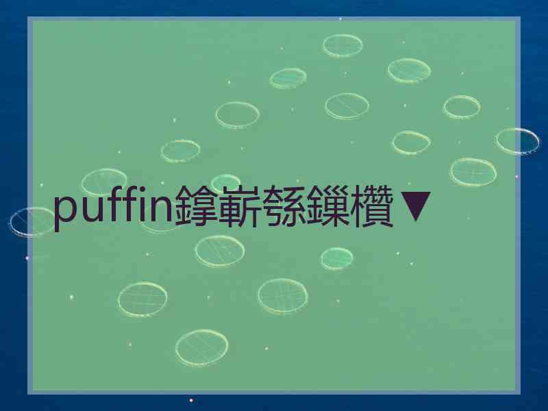 puffin鎿嶄綔鏁欑▼