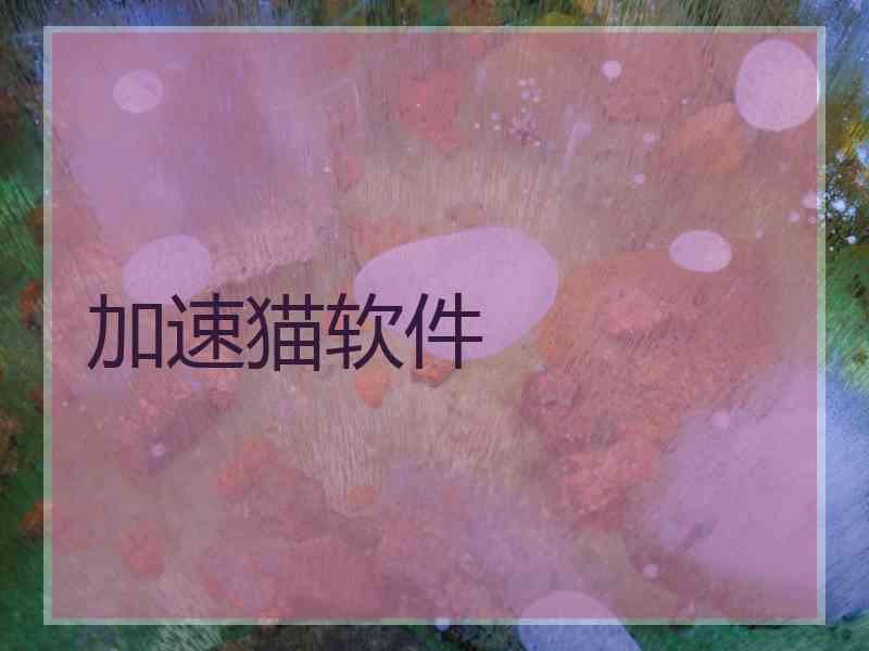 加速猫软件