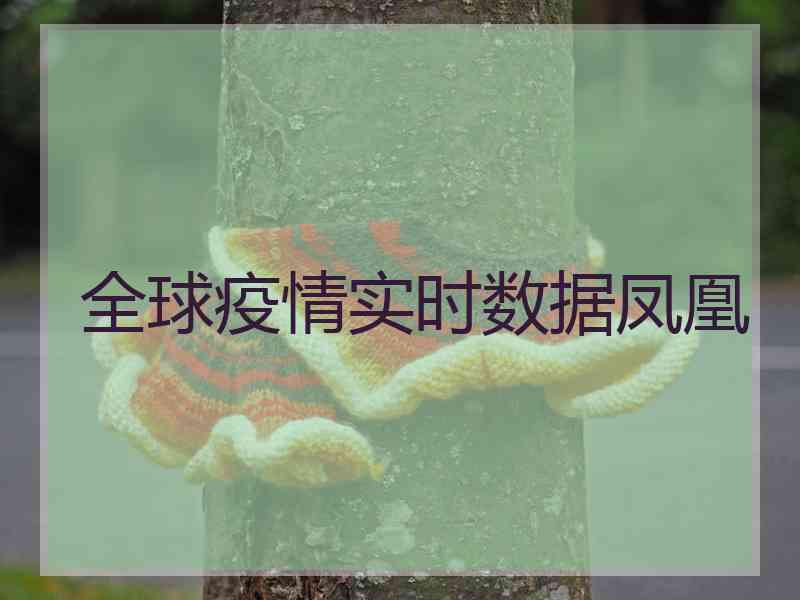 全球疫情实时数据凤凰