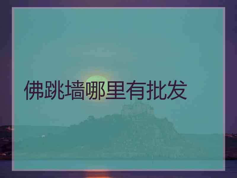 佛跳墙哪里有批发