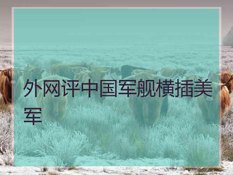 外网评中国军舰横插美军