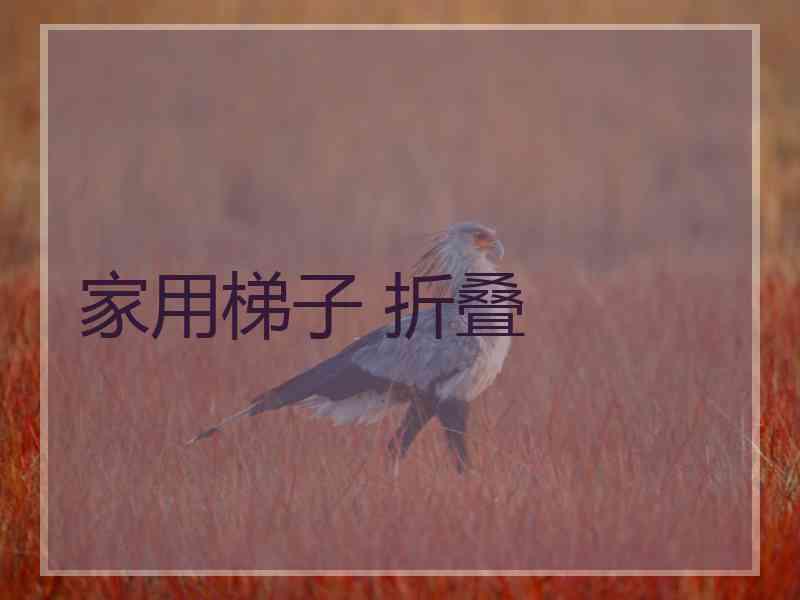 家用梯子 折叠