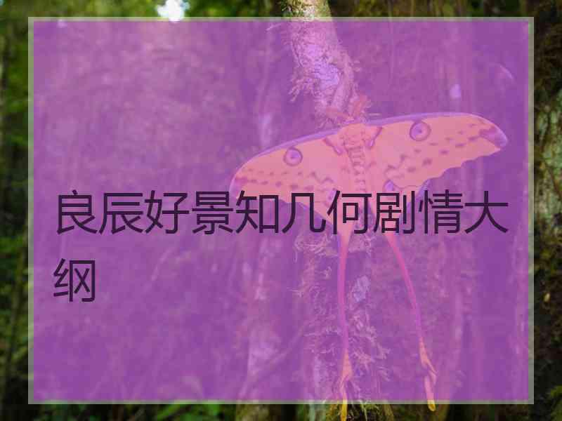 良辰好景知几何剧情大纲
