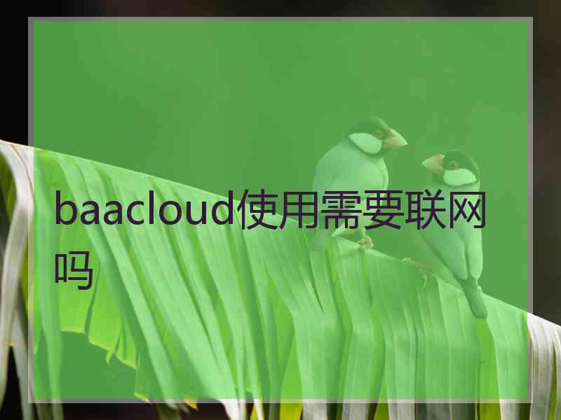 baacloud使用需要联网吗