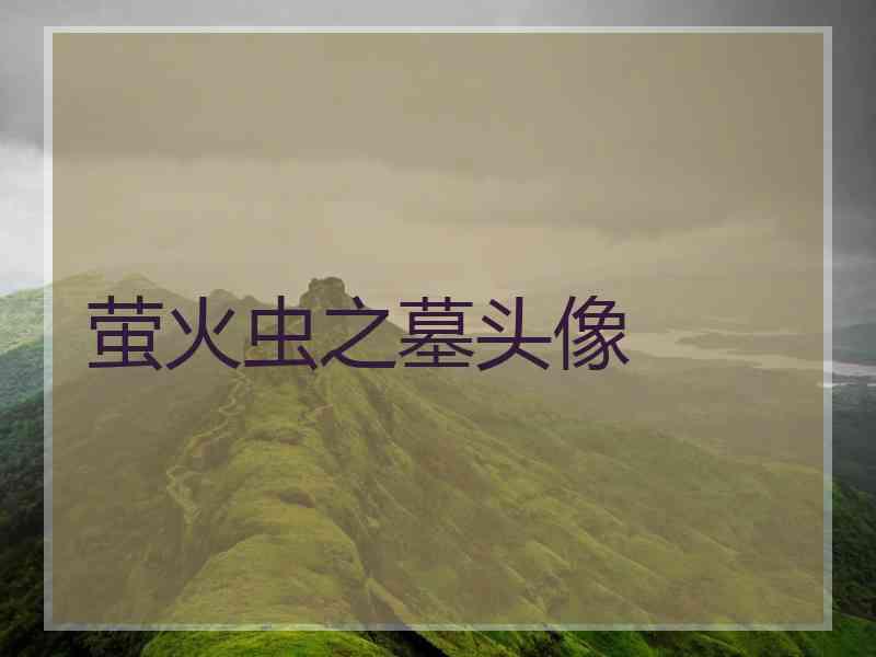 萤火虫之墓头像