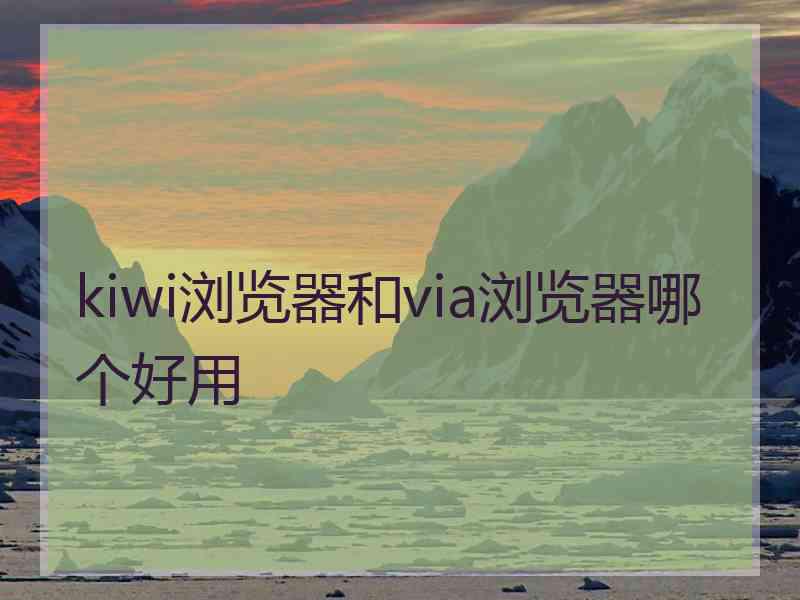 kiwi浏览器和via浏览器哪个好用