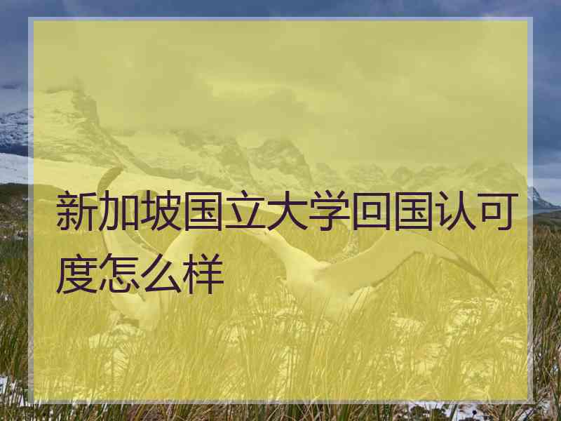 新加坡国立大学回国认可度怎么样