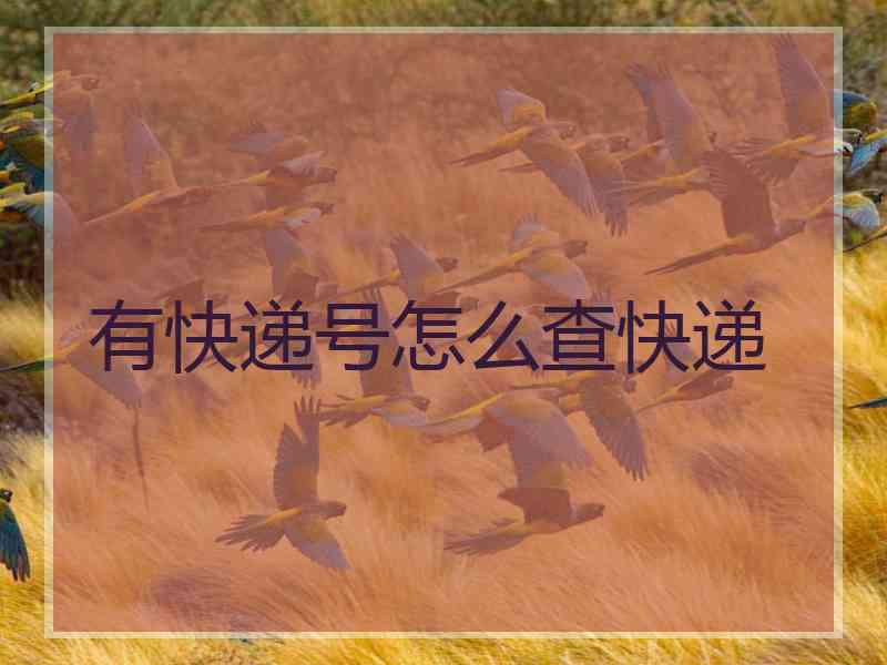 有快递号怎么查快递