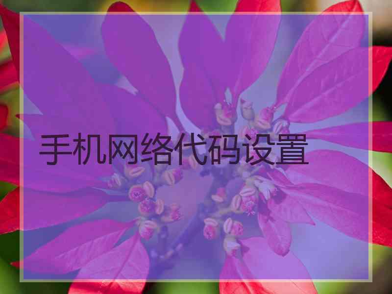 手机网络代码设置