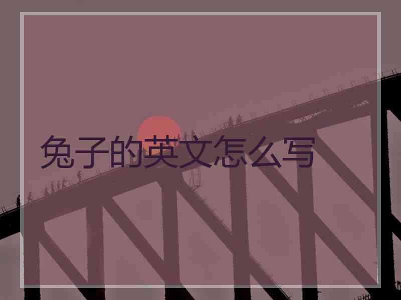 兔子的英文怎么写