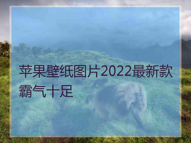 苹果壁纸图片2022最新款霸气十足