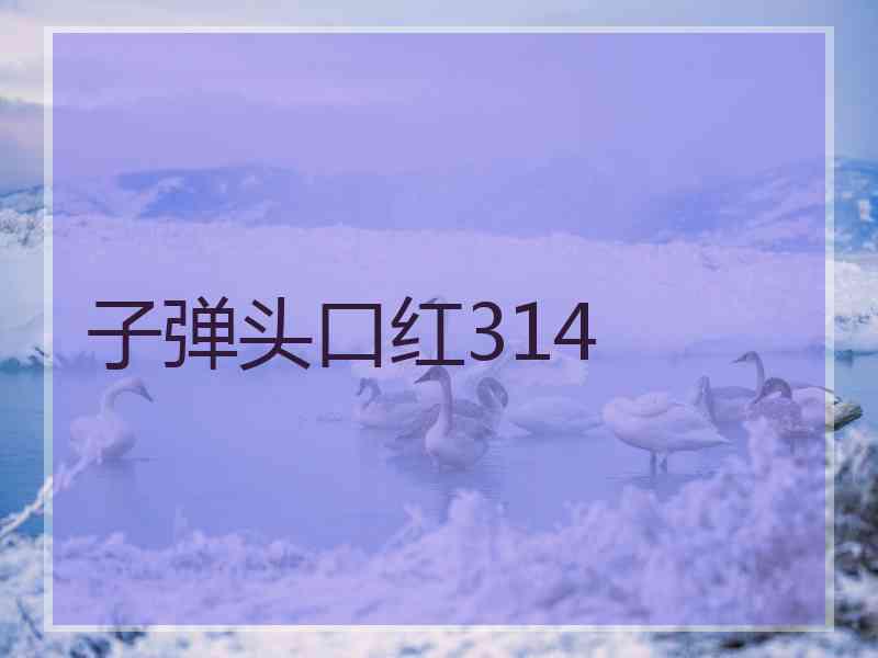 子弹头口红314