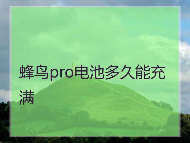 蜂鸟pro电池多久能充满