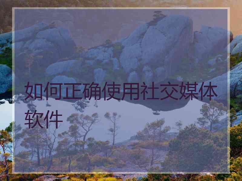 如何正确使用社交媒体软件