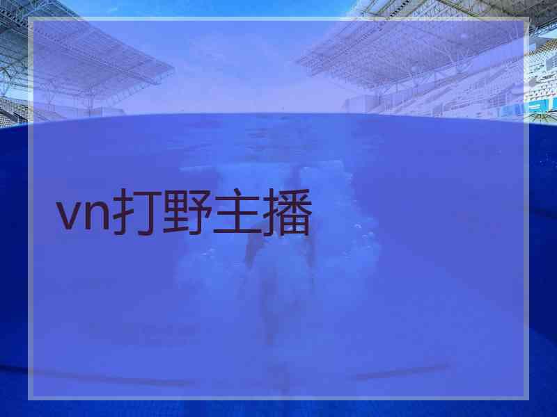 vn打野主播