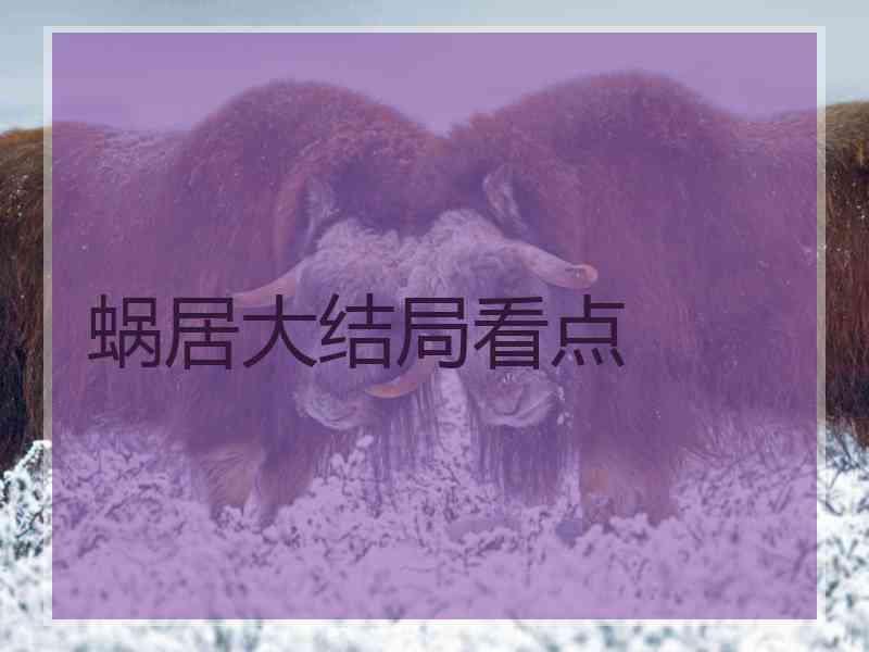 蜗居大结局看点