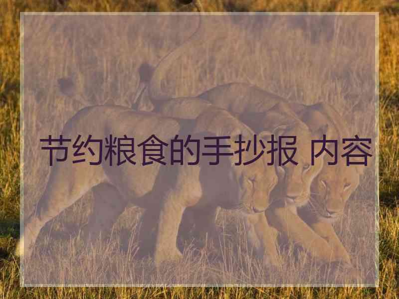 节约粮食的手抄报 内容