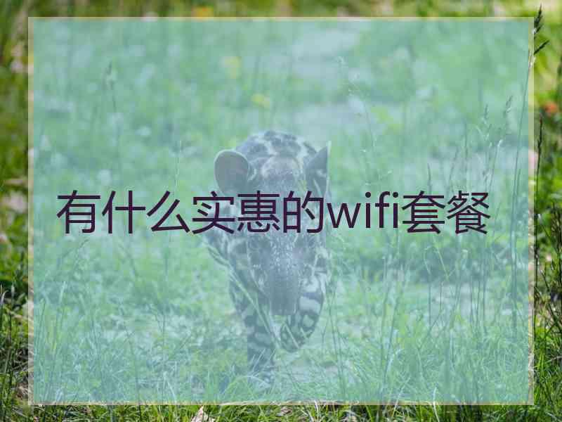 有什么实惠的wifi套餐