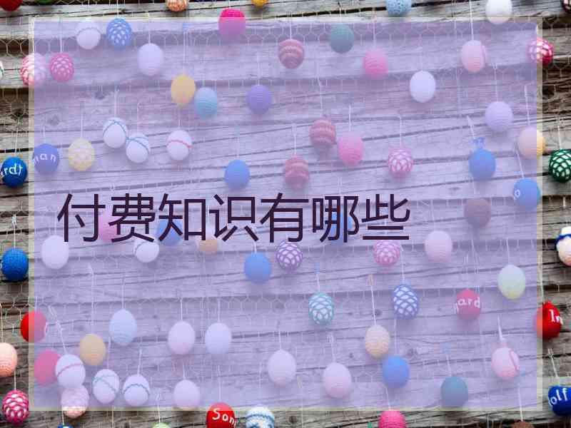 付费知识有哪些