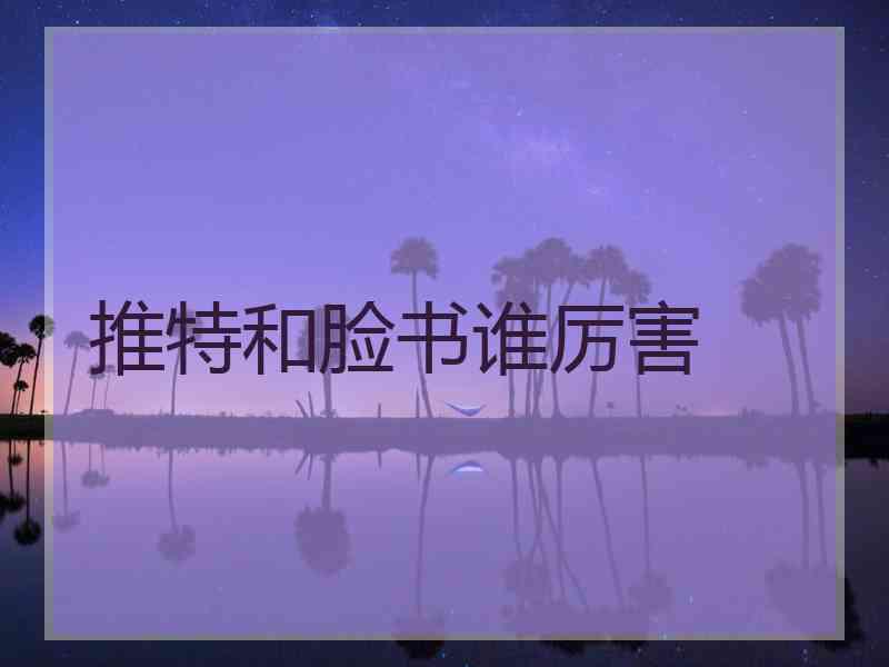 推特和脸书谁厉害