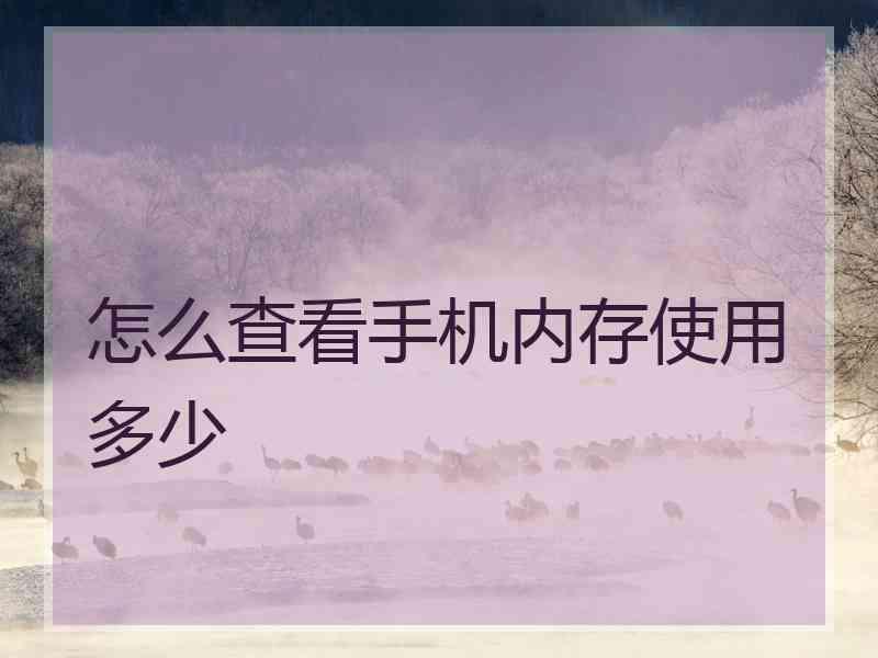 怎么查看手机内存使用多少