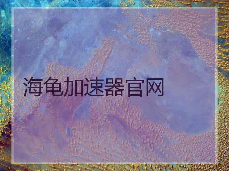 海龟加速器官网