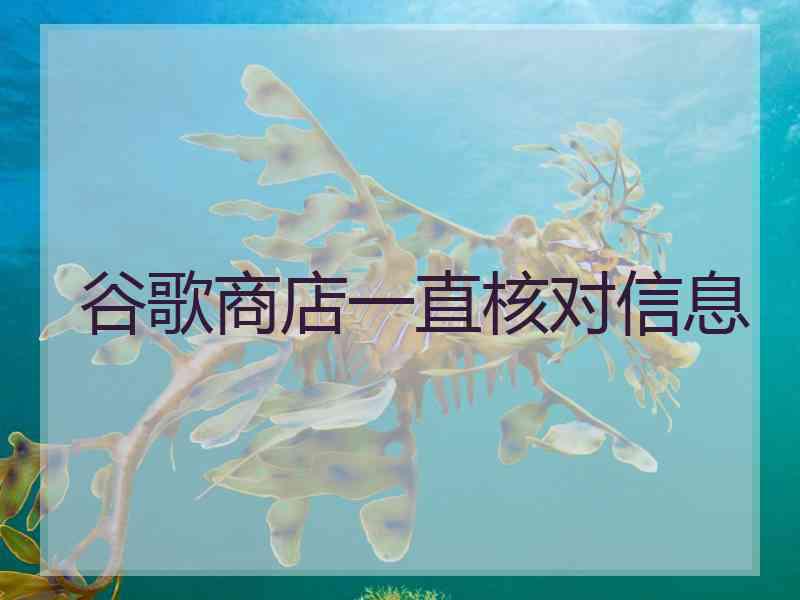 谷歌商店一直核对信息