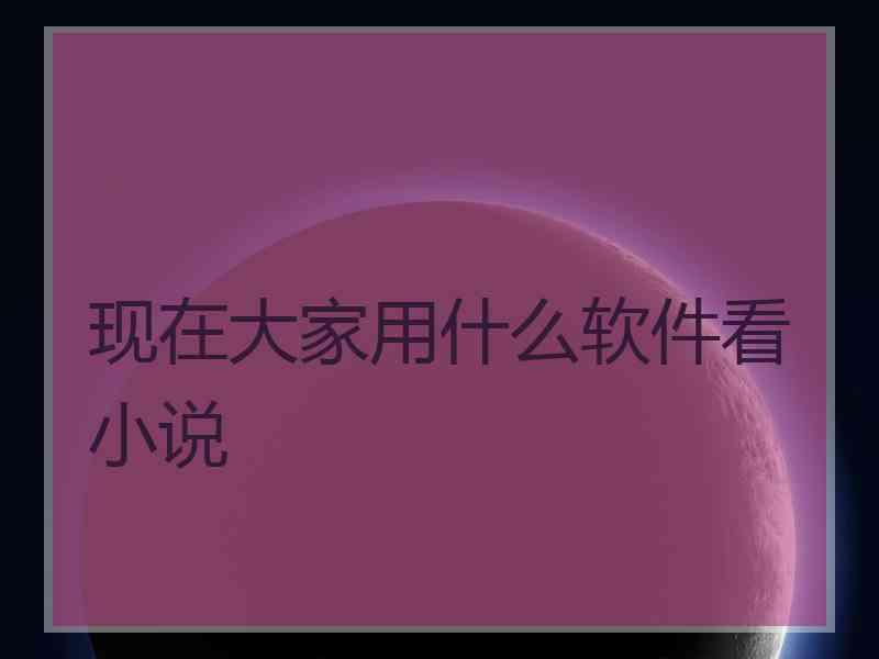 现在大家用什么软件看小说