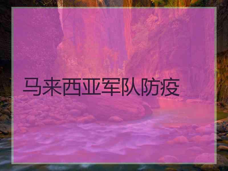 马来西亚军队防疫