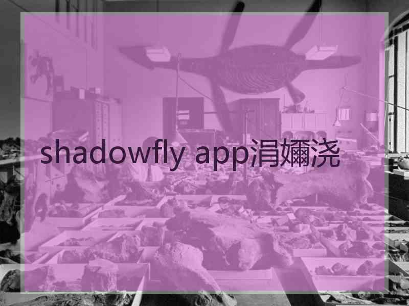 shadowfly app涓嬭浇