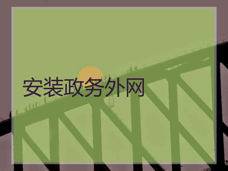 安装政务外网