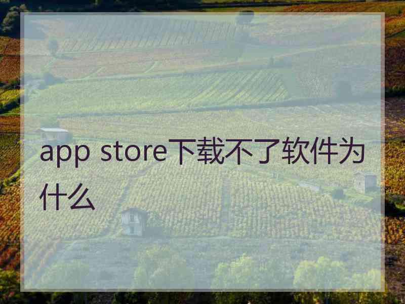 app store下载不了软件为什么