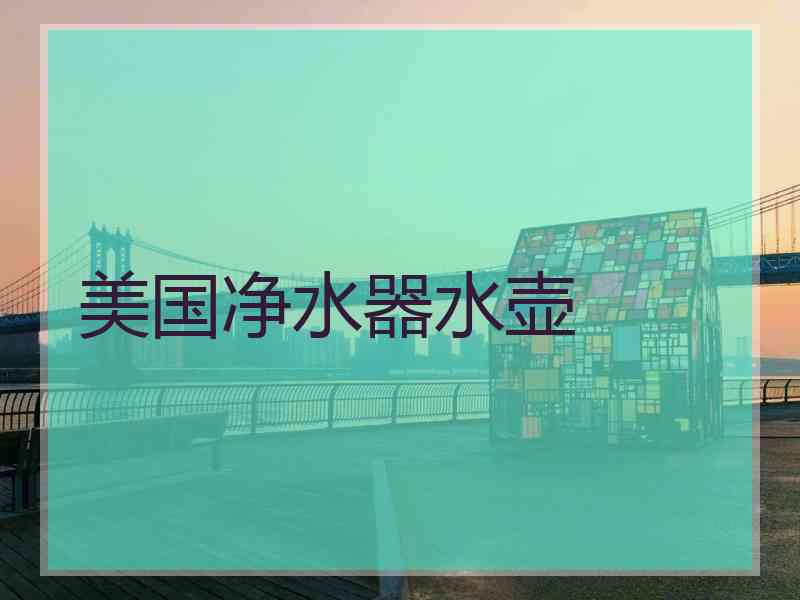 美国净水器水壶