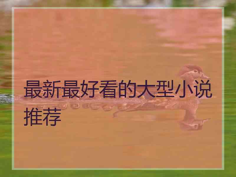 最新最好看的大型小说推荐