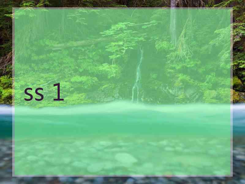 ss 1
