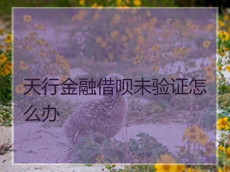 天行金融借呗未验证怎么办