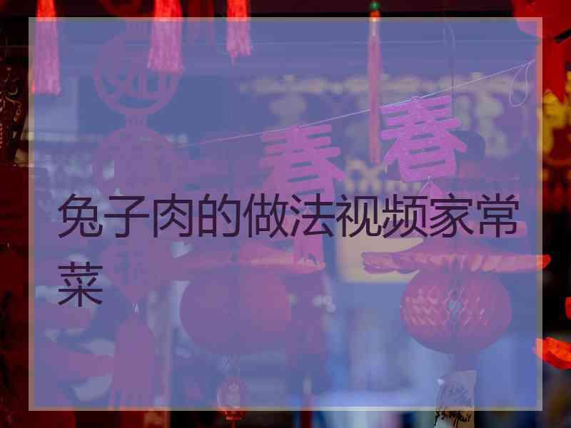 兔子肉的做法视频家常菜
