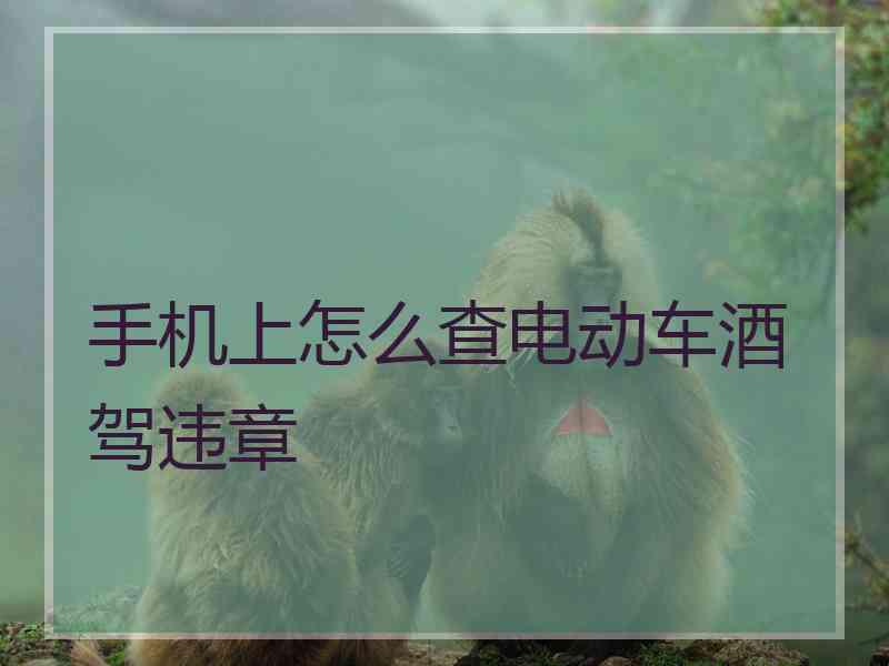 手机上怎么查电动车酒驾违章