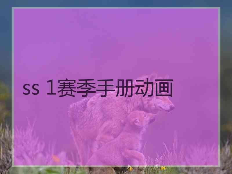 ss 1赛季手册动画